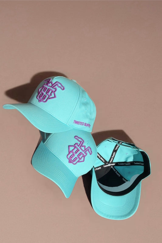 A-Frame SnapBack- Teal & purple