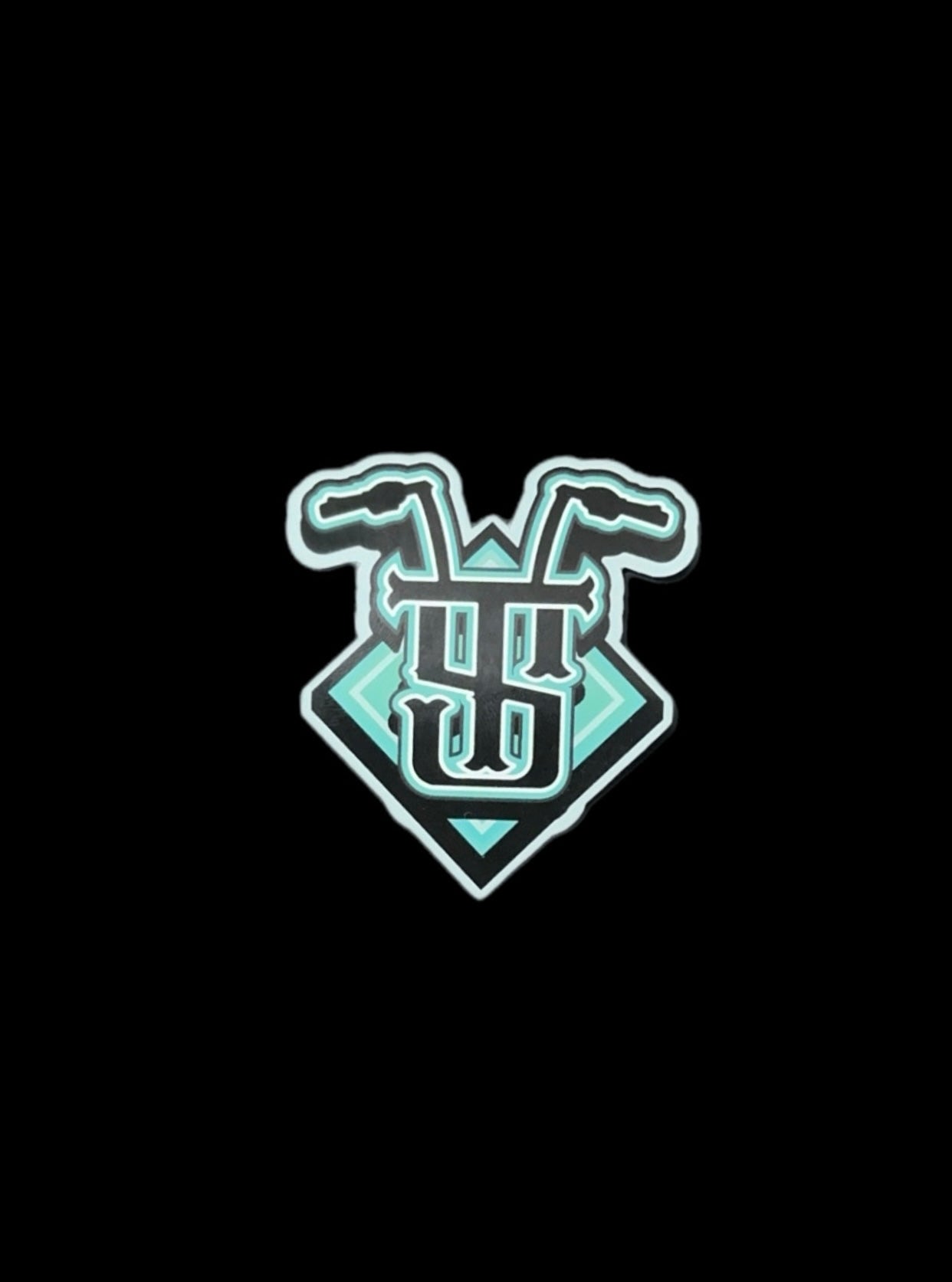 Turquoise handlebar sticker